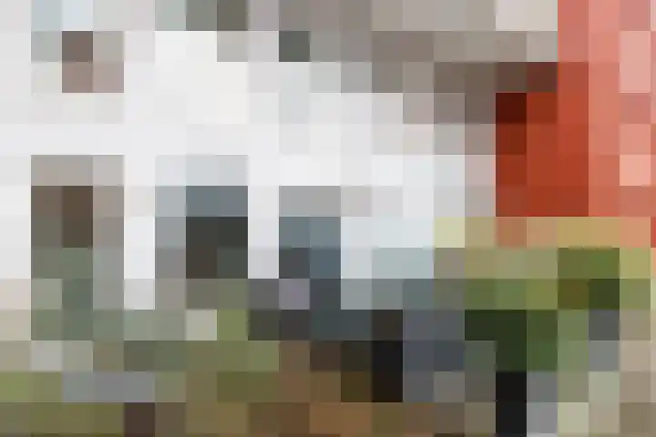 Johan de Meesterstraat 123 Utrecht thumbnail 12