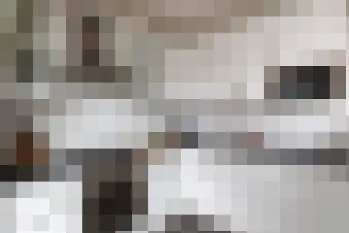 Johan de Meesterstraat 123 Utrecht thumbnail 14