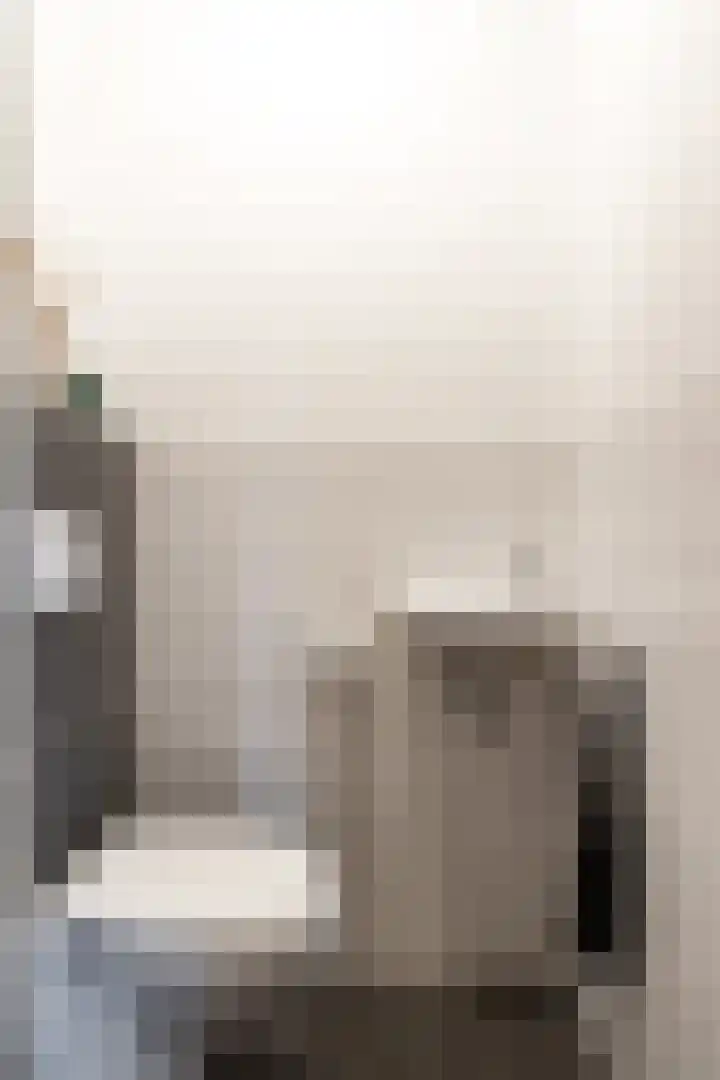 Johan de Meesterstraat 123 Utrecht thumbnail 23