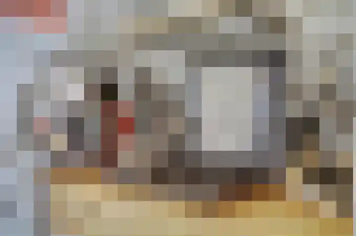 Johan de Meesterstraat 129 Utrecht thumbnail 12