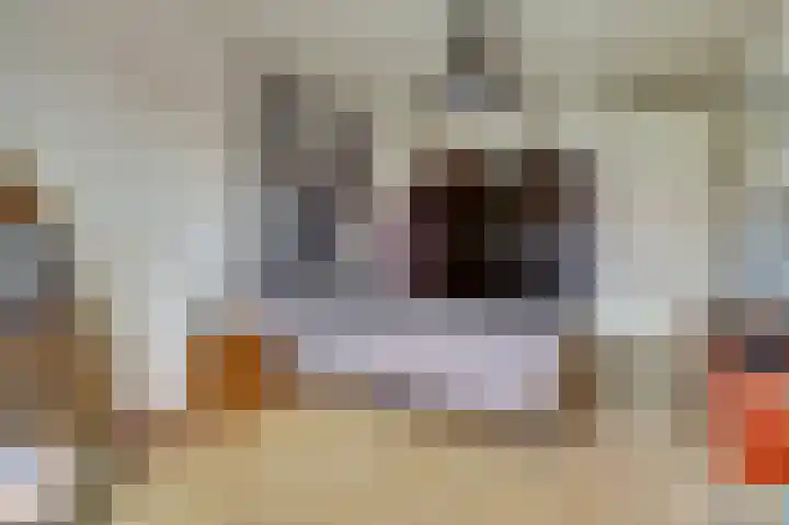 Johan de Meesterstraat 129 Utrecht thumbnail 14