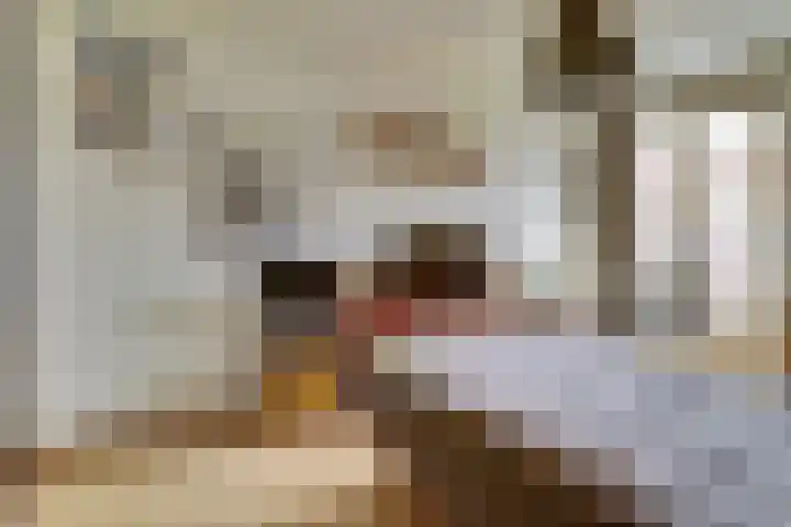 Johan de Meesterstraat 129 Utrecht thumbnail 15