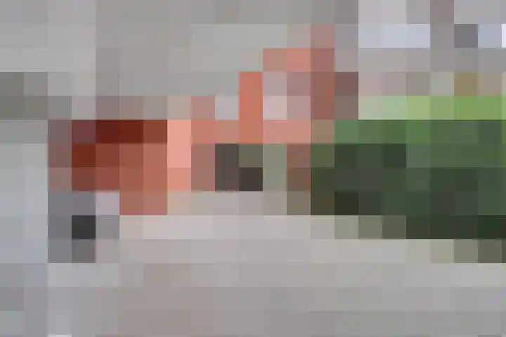 Johan de Meesterstraat 129 Utrecht thumbnail 17