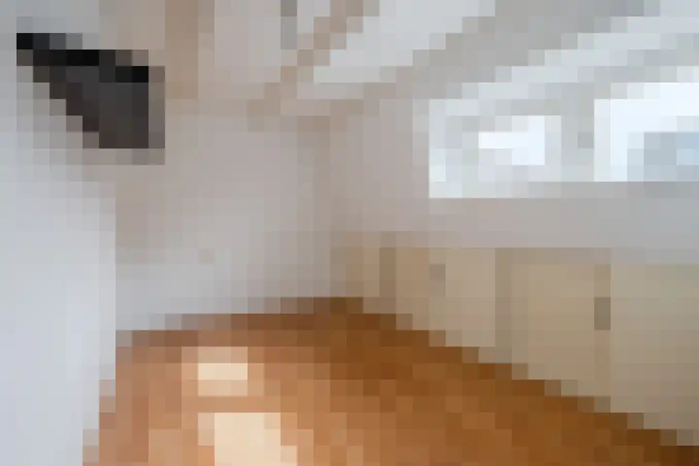 Johan de Meesterstraat 18 Zeist thumbnail 18