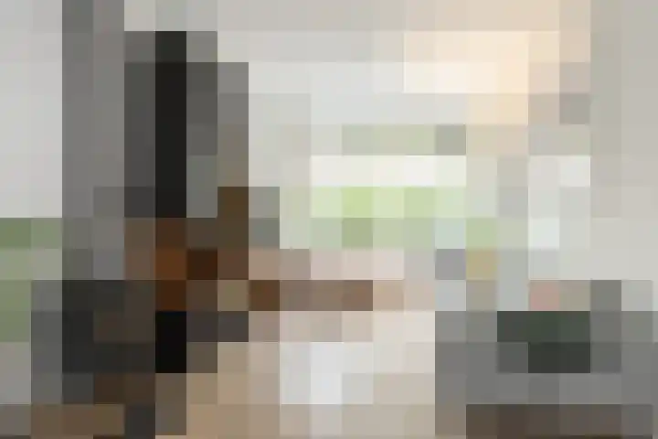 Johan de Meesterstraat 2 Utrecht thumbnail 12