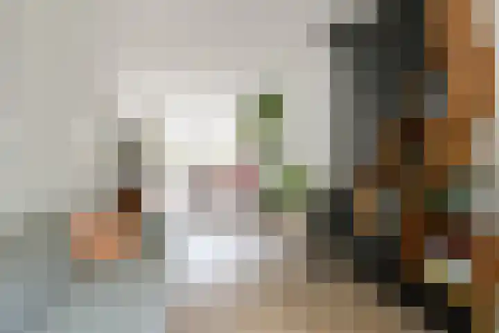 Johan de Meesterstraat 2 Utrecht thumbnail 16