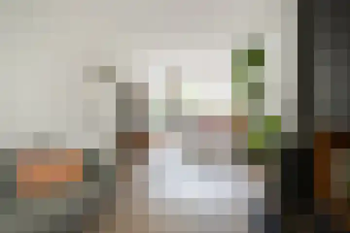 Johan de Meesterstraat 2 Utrecht thumbnail 17