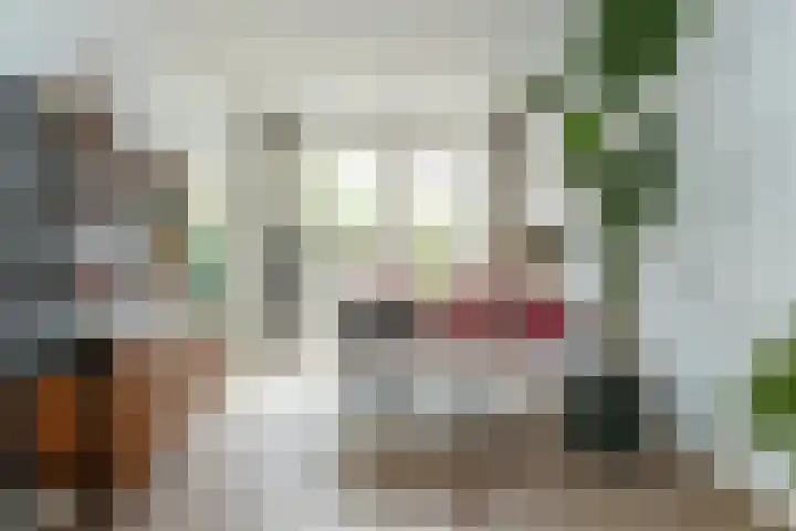 Johan de Meesterstraat 2 Utrecht thumbnail 19
