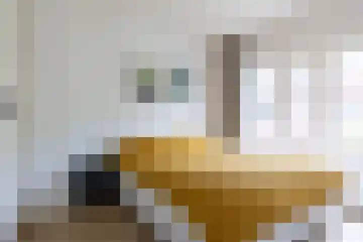 Johan de Meesterstraat 2 Utrecht thumbnail 29