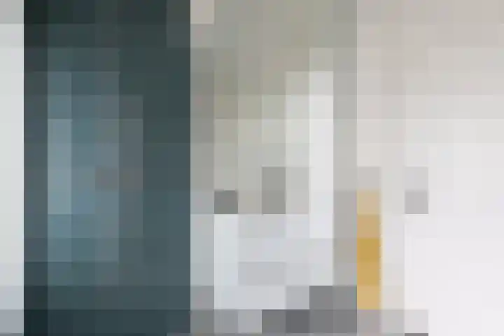 Johan de Meesterstraat 2 Utrecht thumbnail 38
