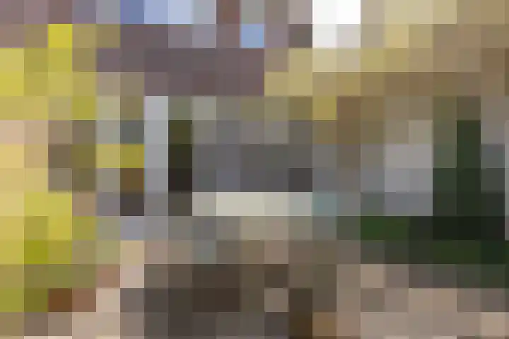 Johan de Meesterstraat 2 Utrecht thumbnail 5
