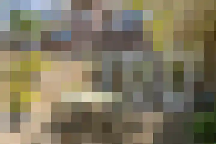 Johan de Meesterstraat 2 Utrecht thumbnail 51