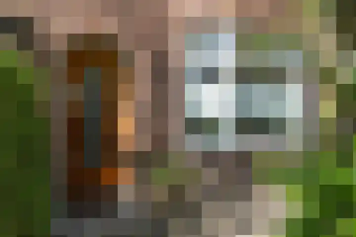 Johan de Meesterstraat 2 Utrecht thumbnail 7