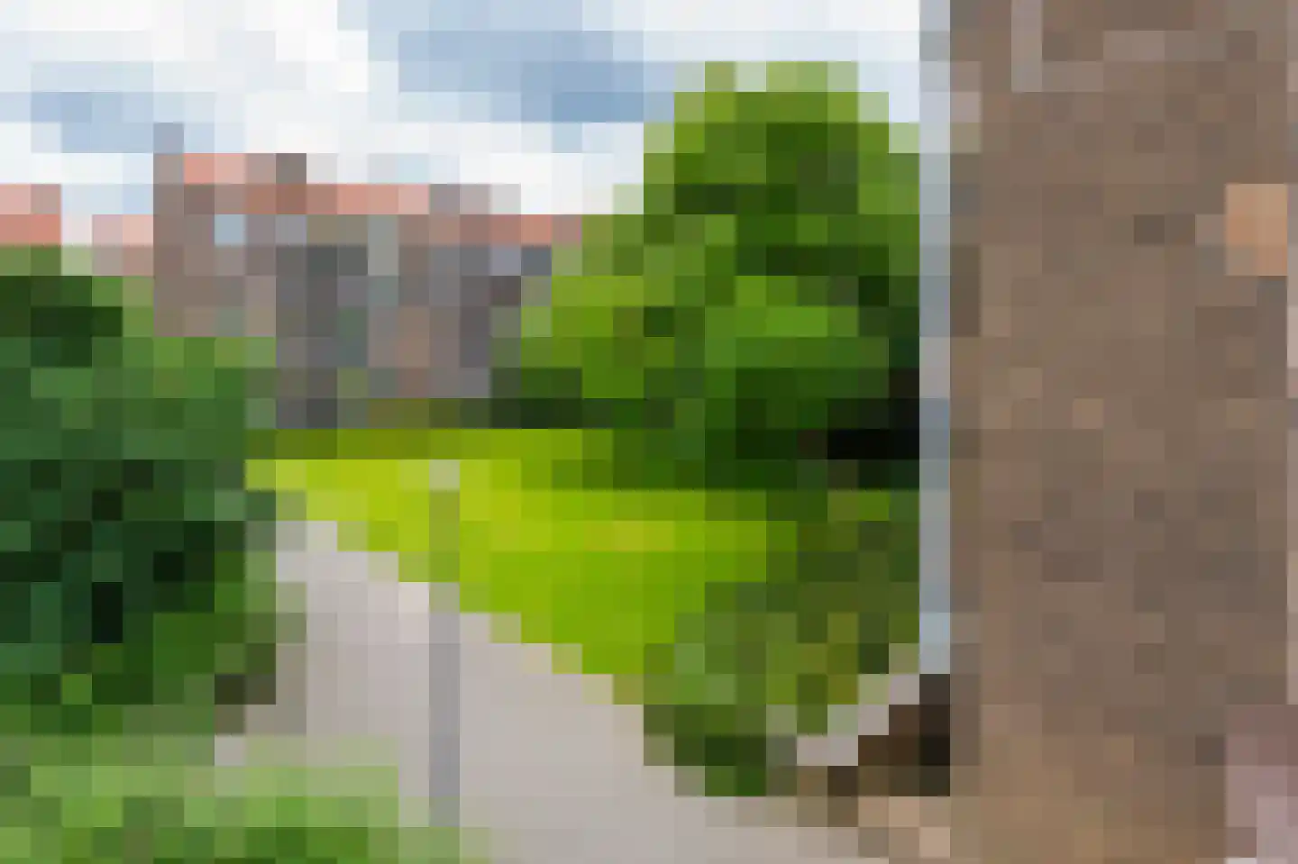 Johan de Meesterstraat 24 B Rotterdam thumbnail 31