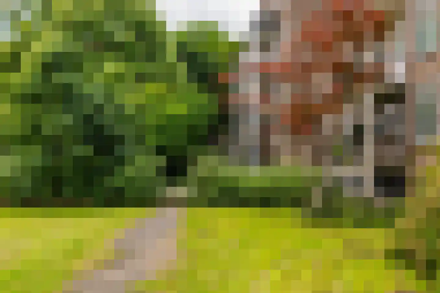 Johan de Meesterstraat 24 B Rotterdam thumbnail 35