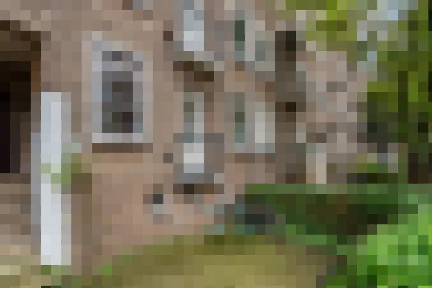 Johan de Meesterstraat 28 A Rotterdam thumbnail 8