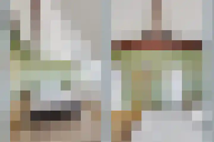Johan de Meesterstraat 3 BS Utrecht thumbnail 28