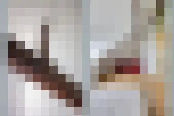 Johan de Meesterstraat 3 BS Utrecht thumbnail 31