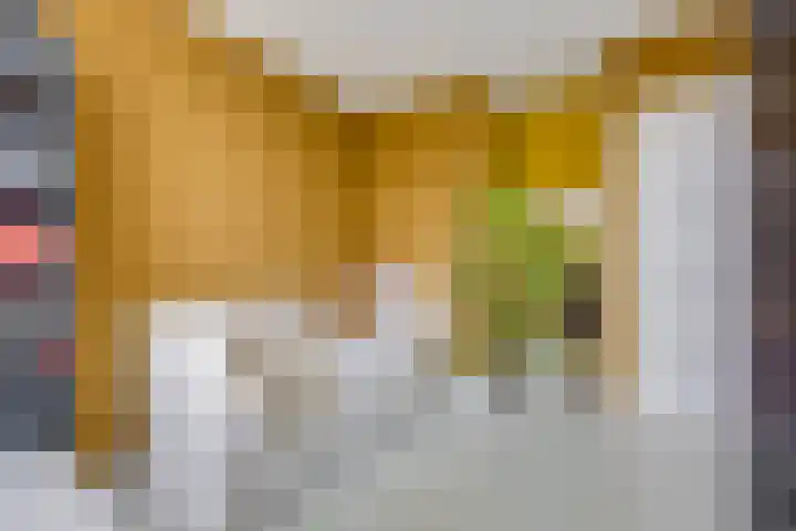 Johan de Meesterstraat 3 BS Utrecht thumbnail 34