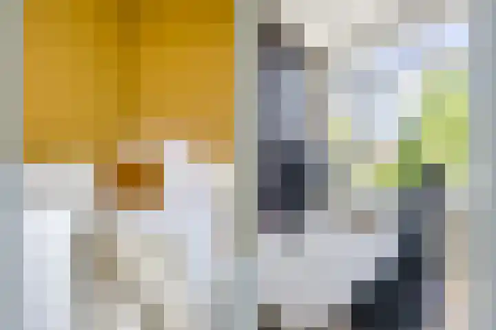 Johan de Meesterstraat 3 BS Utrecht thumbnail 35