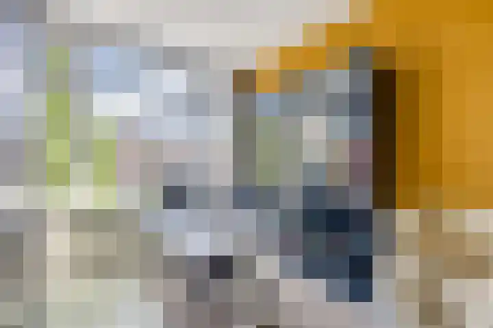 Johan de Meesterstraat 3 BS Utrecht thumbnail 4