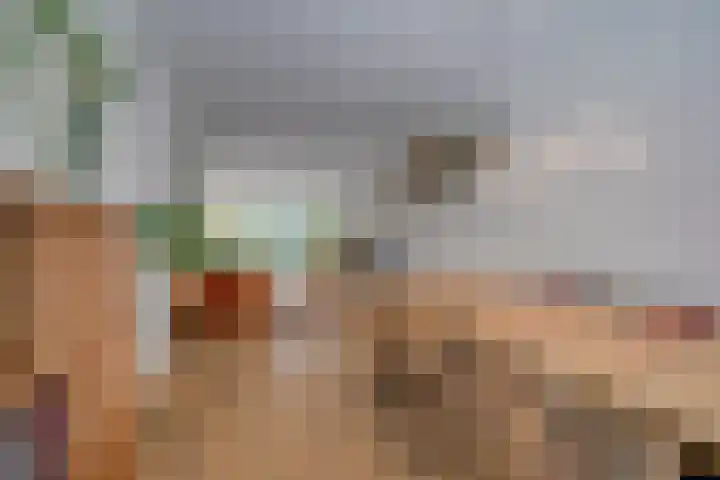 Johan de Meesterstraat 3 Utrecht thumbnail 11