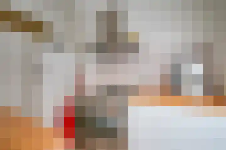 Johan de Meesterstraat 3 Utrecht thumbnail 18