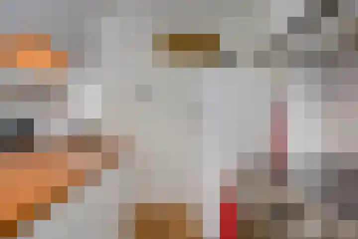 Johan de Meesterstraat 3 Utrecht thumbnail 19