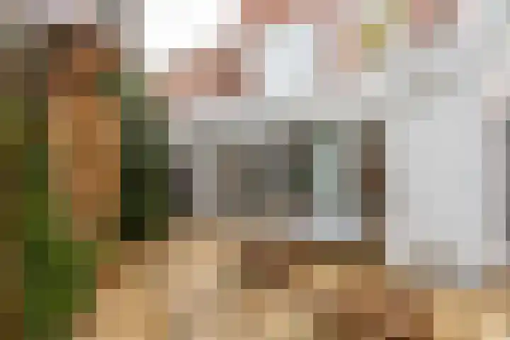 Johan de Meesterstraat 3 Utrecht thumbnail 20