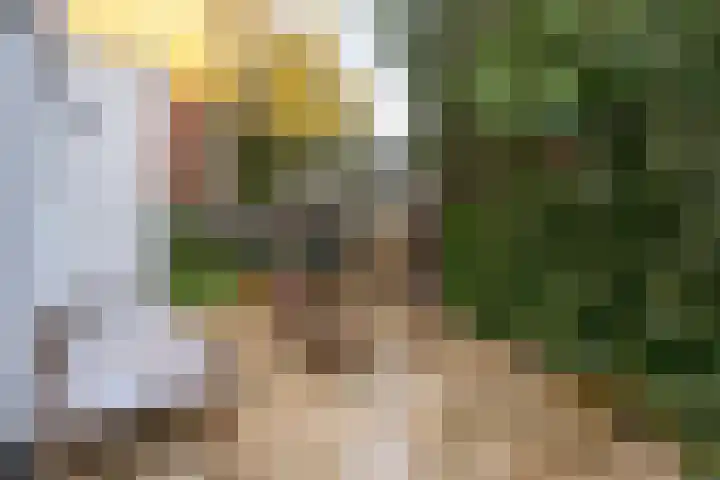 Johan de Meesterstraat 3 Utrecht thumbnail 21
