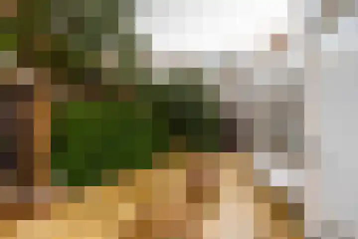Johan de Meesterstraat 3 Utrecht thumbnail 23
