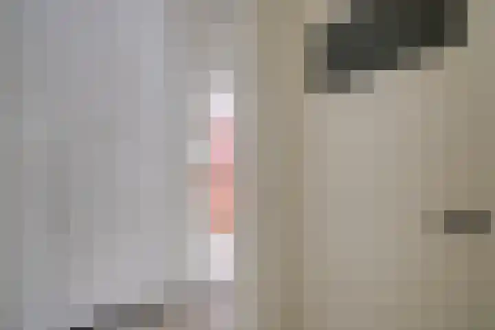Johan de Meesterstraat 3 Utrecht thumbnail 31
