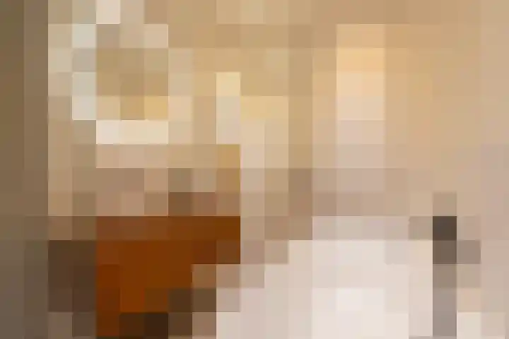 Johan de Meesterstraat 3 Utrecht thumbnail 37