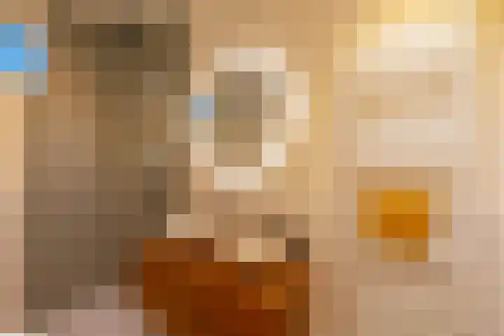 Johan de Meesterstraat 3 Utrecht thumbnail 39