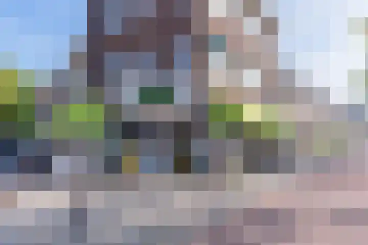 Johan de Meesterstraat 3 Utrecht thumbnail 43