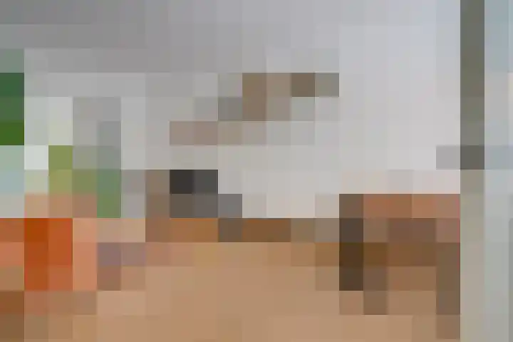 Johan de Meesterstraat 3 Utrecht thumbnail 9