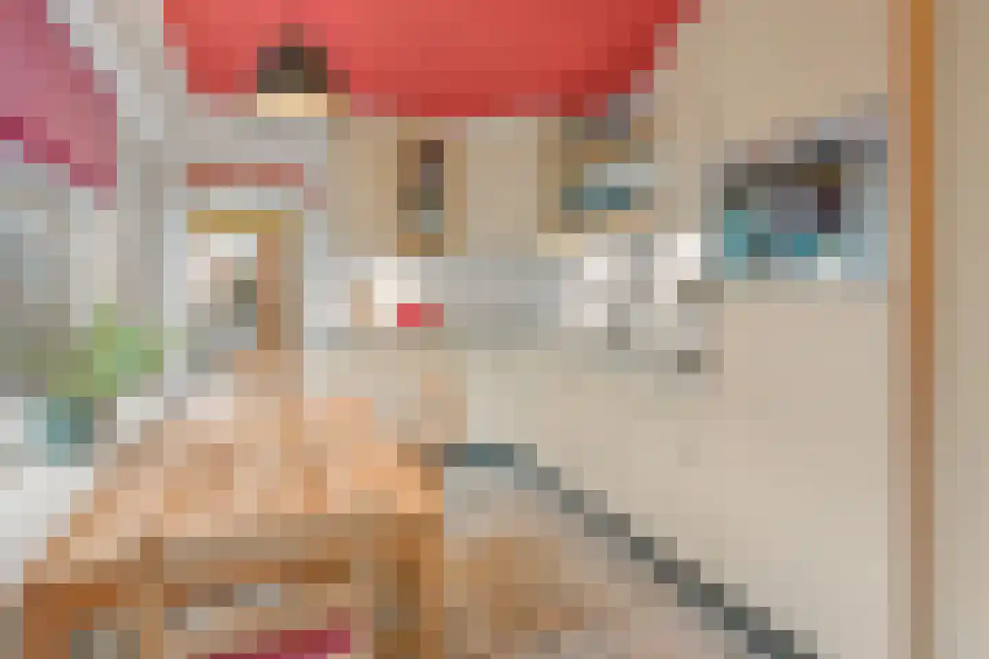 Johan de Meesterstraat 4 Zeist thumbnail 14