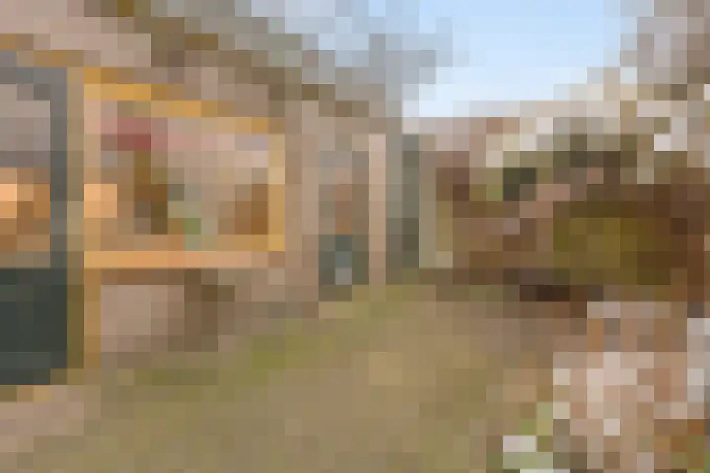 Johan de Meesterstraat 4 Zeist thumbnail 15