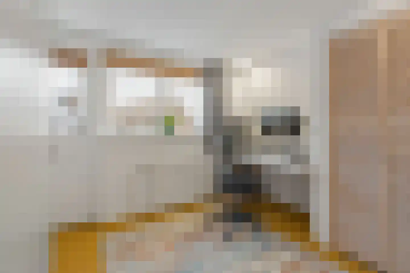 Johan de Meesterstraat 4 Zeist thumbnail 20