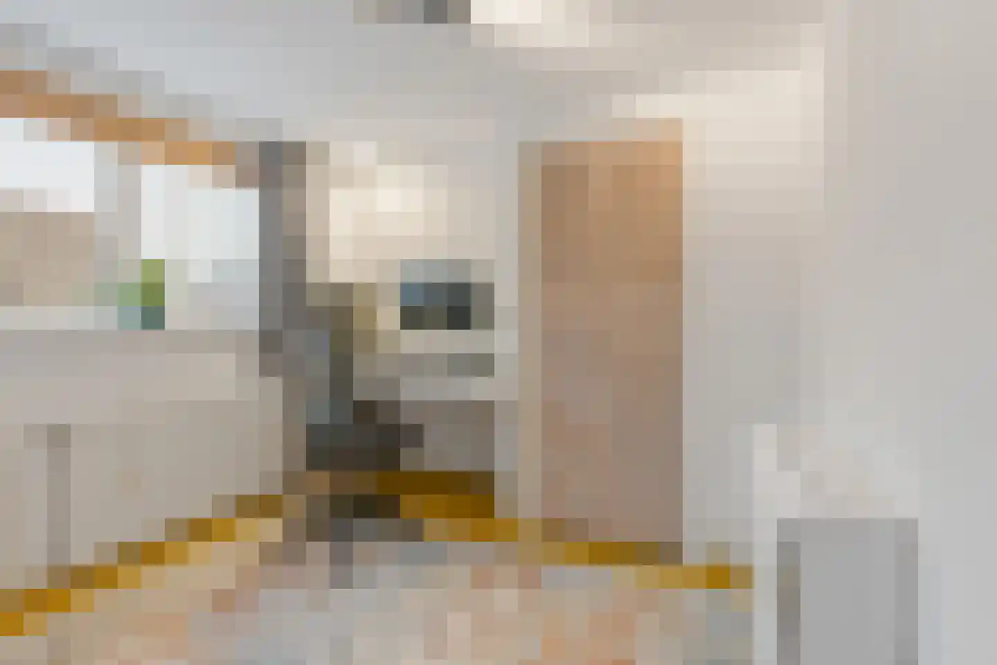 Johan de Meesterstraat 4 Zeist thumbnail 21