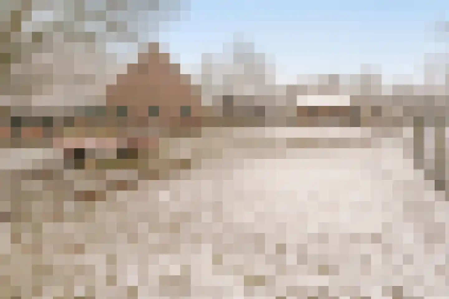 Johan de Meesterstraat 4 Zeist thumbnail 28