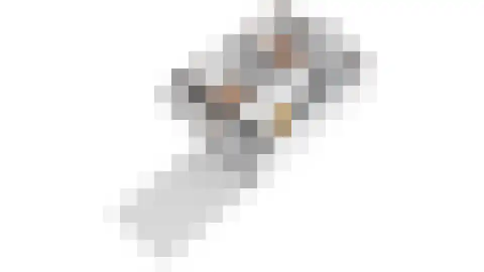 Johan de Meesterstraat 4 Zeist thumbnail 36