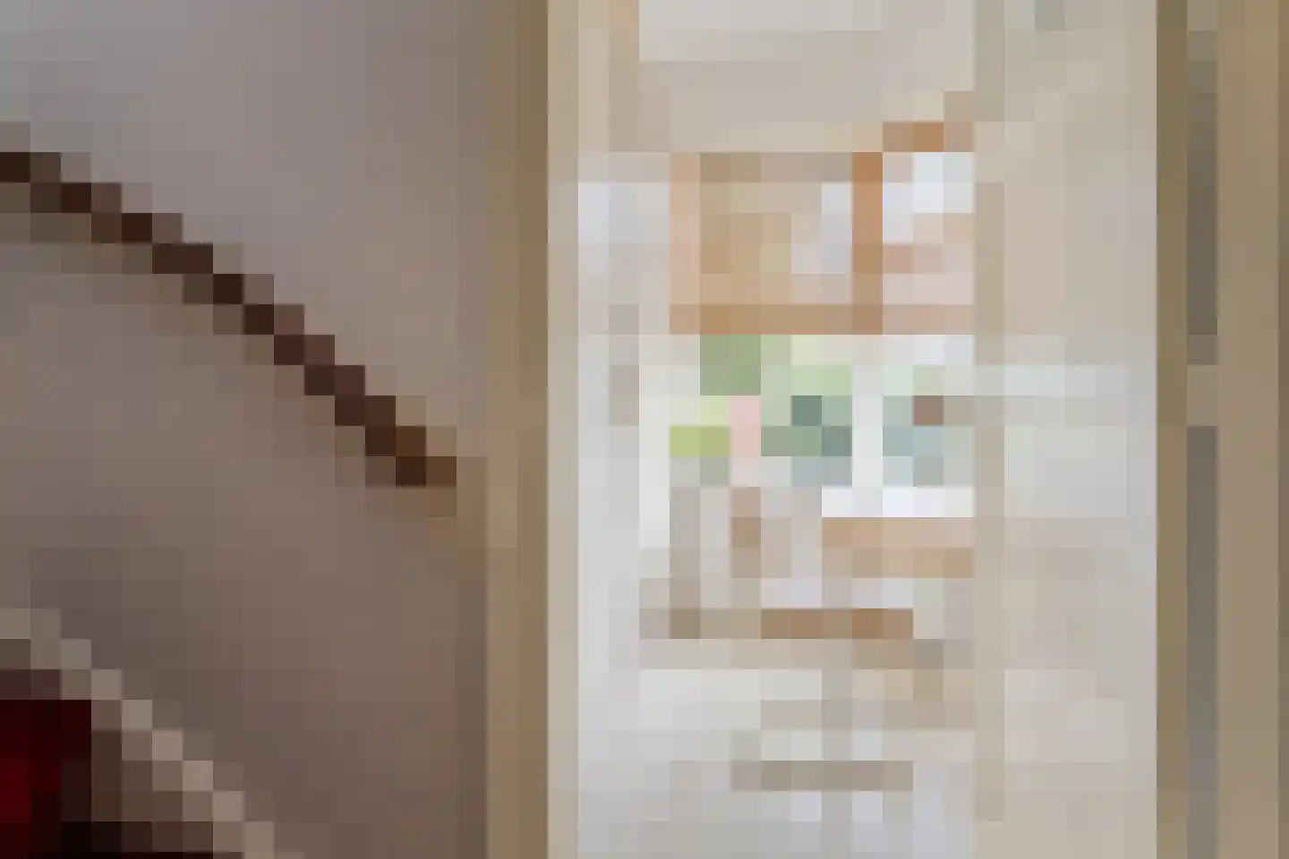 Johan de Meesterstraat 5 BS Utrecht thumbnail 20