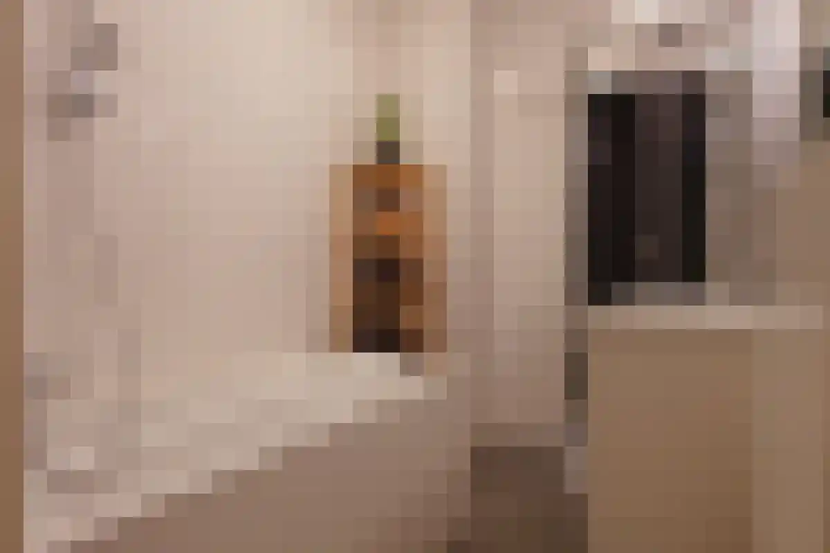 Johan de Meesterstraat 51 Utrecht thumbnail 4