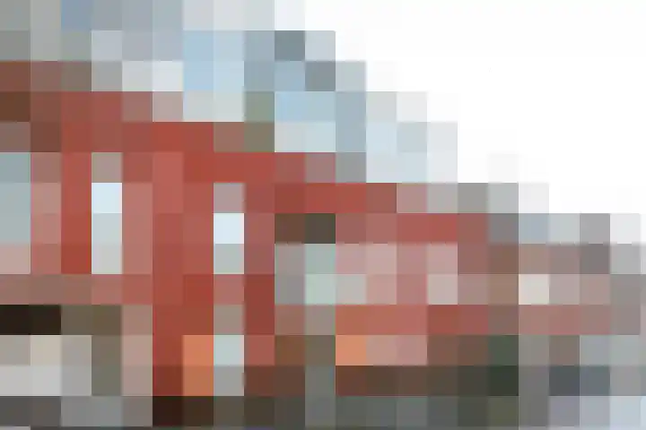 Johan de Meesterstraat 53 Utrecht thumbnail 17