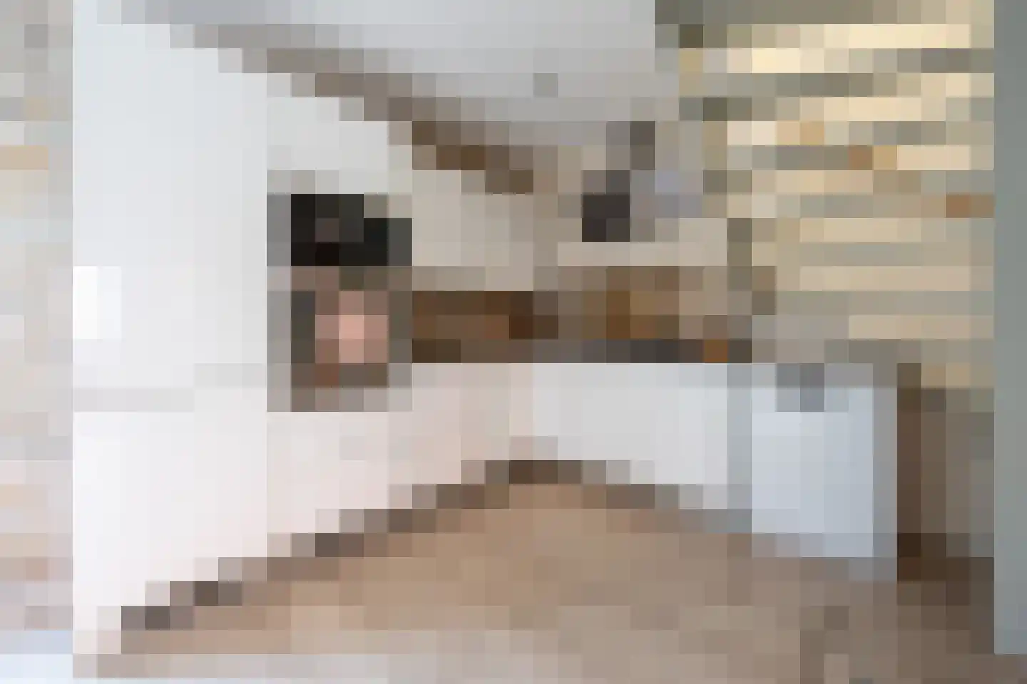 Johan de Meesterstraat 6 Zeist thumbnail 14