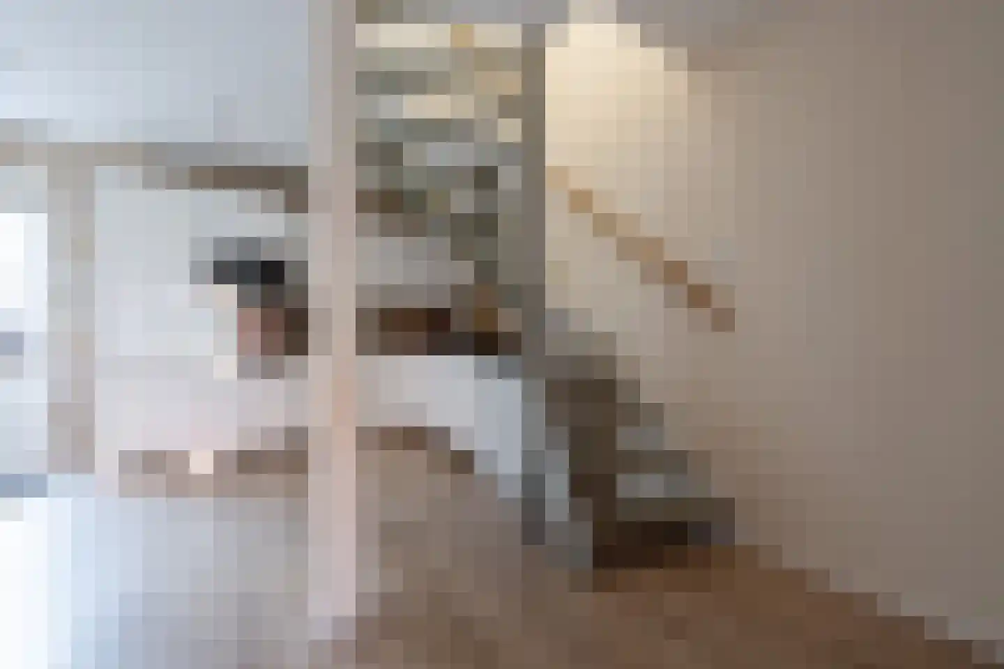Johan de Meesterstraat 6 Zeist thumbnail 16