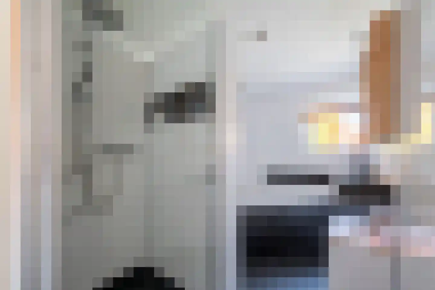 Johan de Meesterstraat 6 Zeist thumbnail 25
