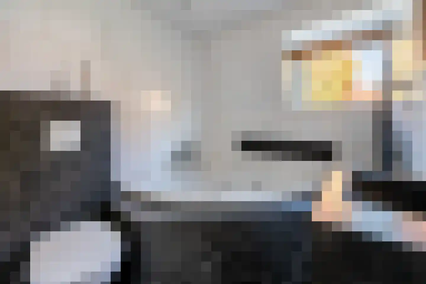 Johan de Meesterstraat 6 Zeist thumbnail 26