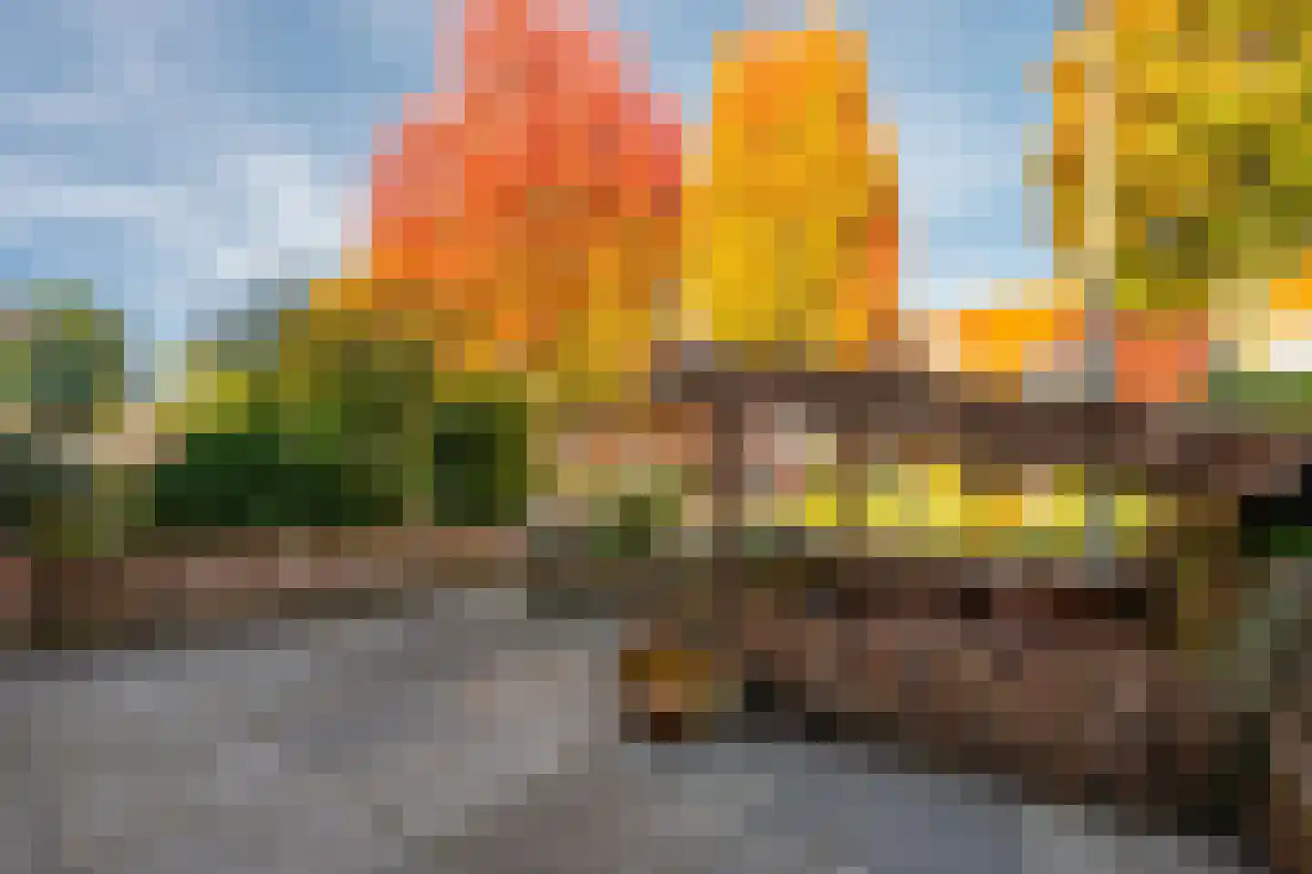 Johan de Meesterstraat 6 Zeist thumbnail 32